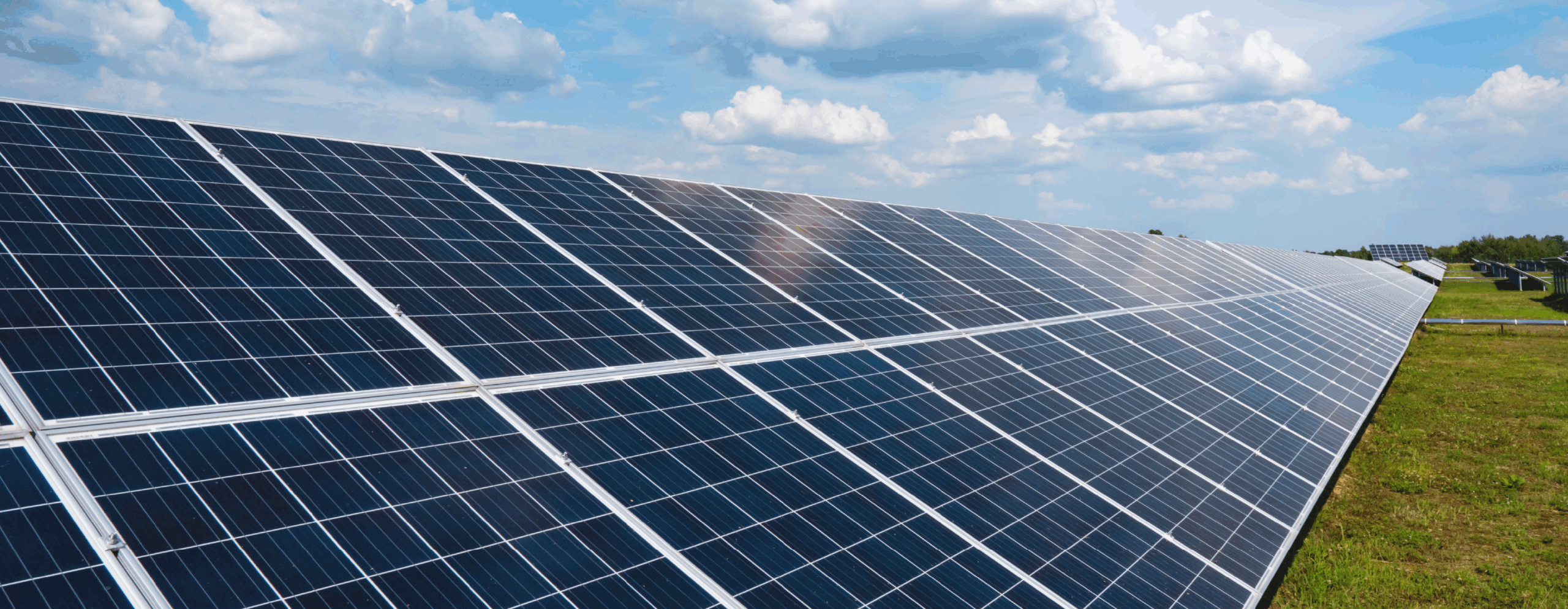 climateforward-website-solar-2560x1030-01